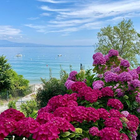 Front Lake Amazing View Manerba del Garda Extérieur photo