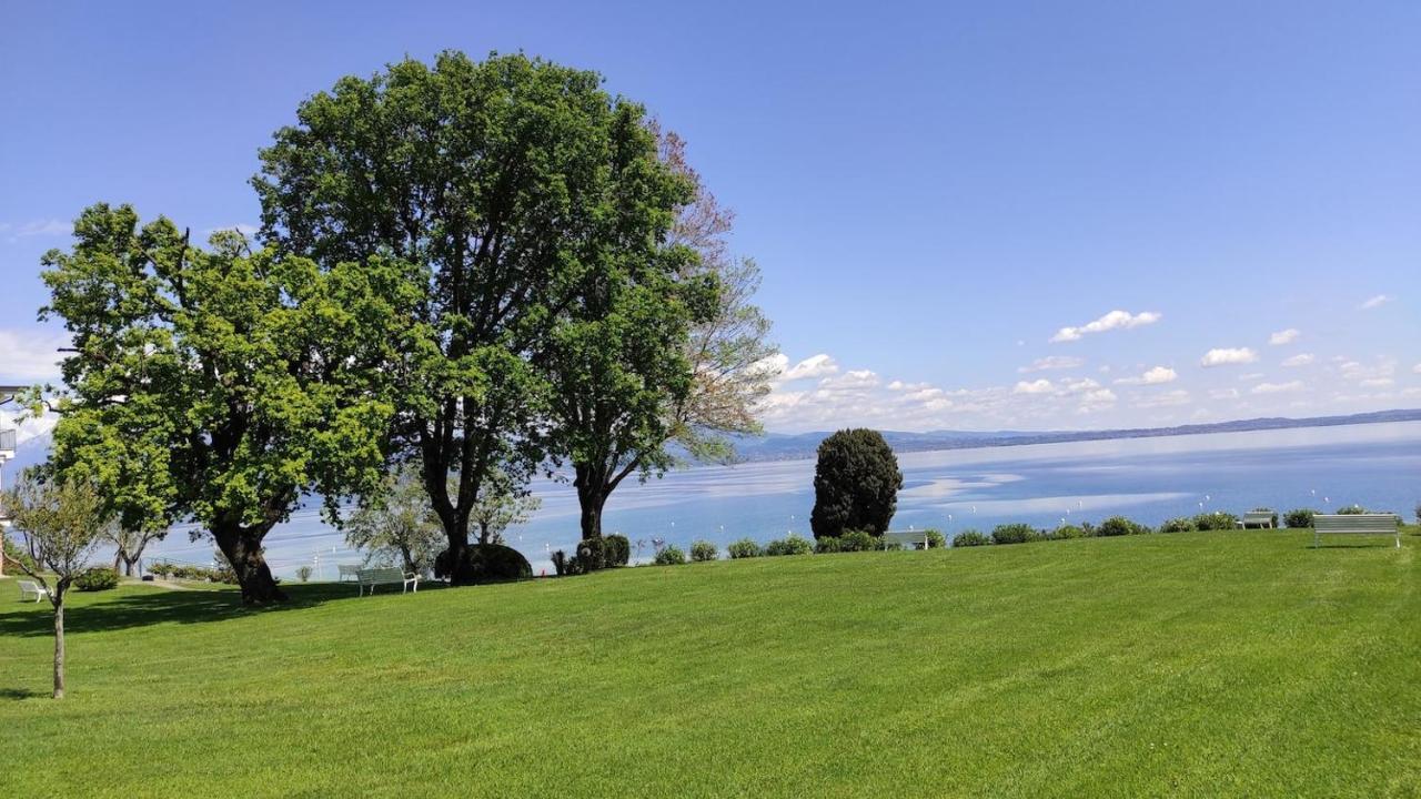 Front Lake Amazing View Manerba del Garda Extérieur photo